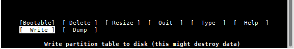 Write partition to disk